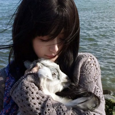 横滨春晓 海报