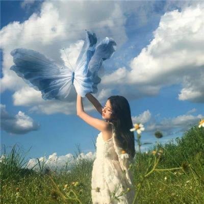 半岛终点 海报