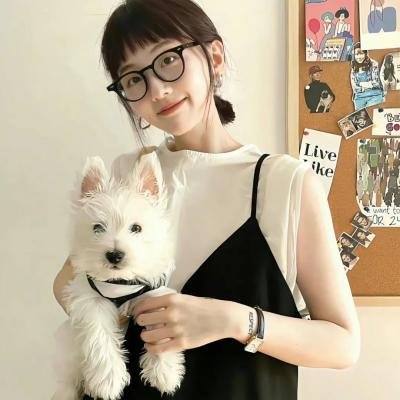 汉江归来 海报